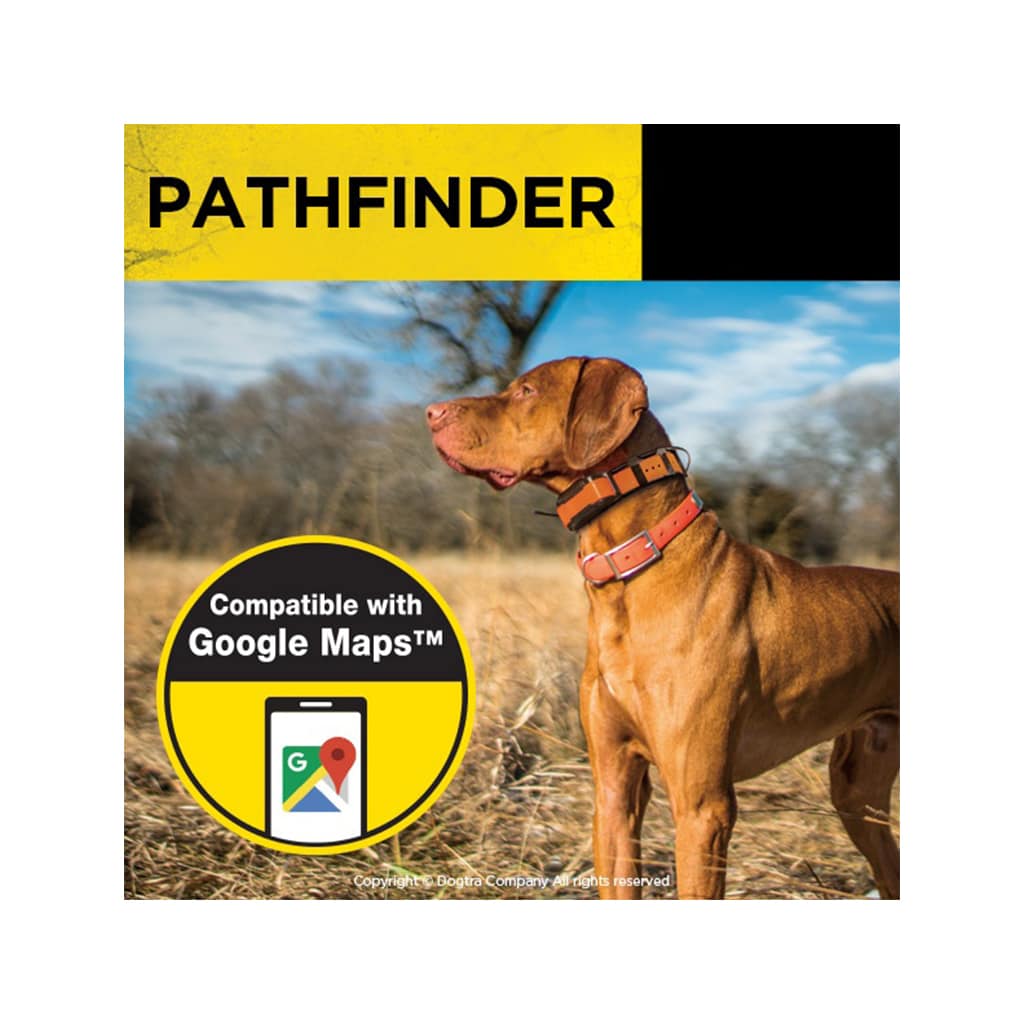 Ogrlica za praćenje pasa GPS Dogtra PATHFINDER